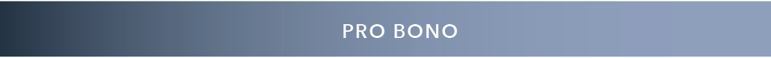 PRO BONO