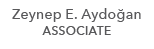 Zeynep E. Aydo an ASSOCIATE