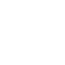 IAM Strategy 300 World leading Intellectual Property Strategists Joseph M. Casino Michael J. Kasdan Takao Saito 