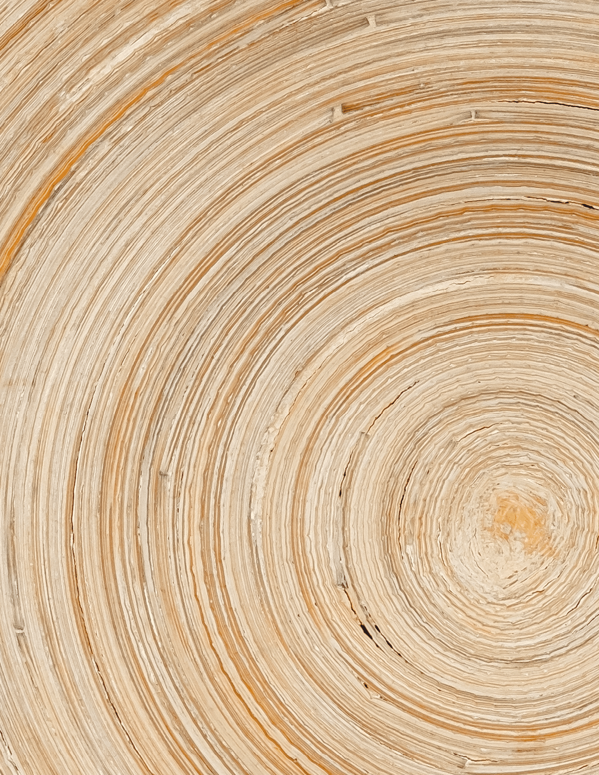 The concentric abstract background with wood texture