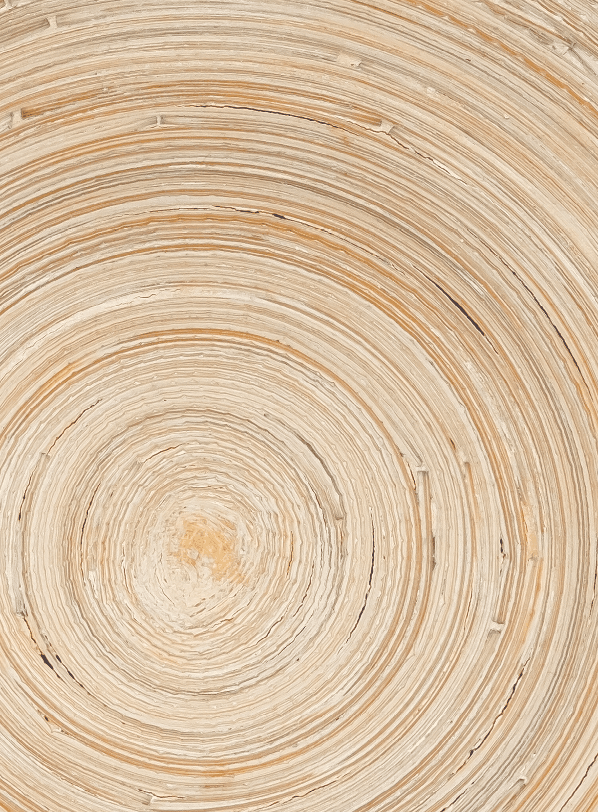The concentric abstract background with wood texture
